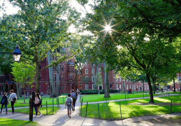 Harvard Yard